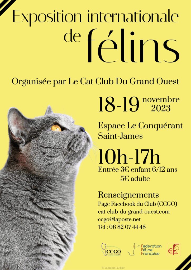 Affiche chat Valmont LACLARE